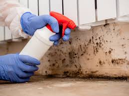 Mold Documentation for Insurance Claims in Herald Harbor, MD